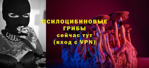 молекула духа Арсеньев