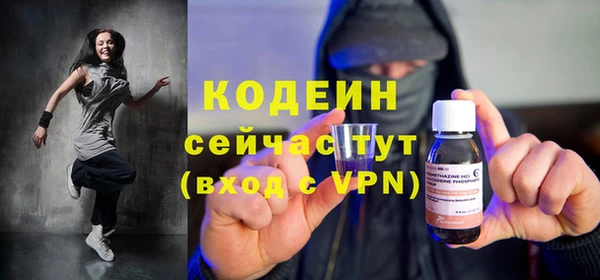 молекула духа Арсеньев