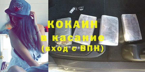 молекула духа Арсеньев