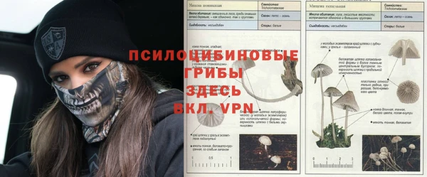 прущая мука Аркадак