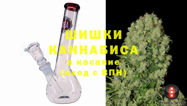молекула духа Арсеньев
